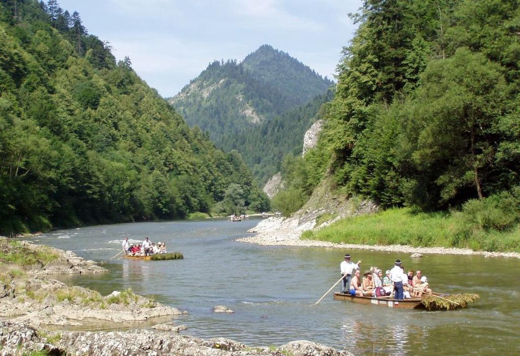 Pinewood Valley Oasis Vyšné Ružbachy Kültér fotó